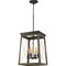 Progress Lighting Briarwood Collection Four-Light Foyer P500178-020 - alternate 2
